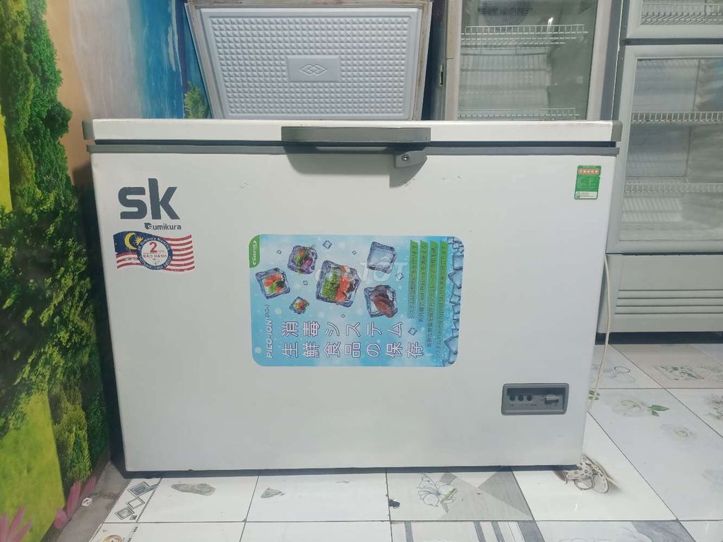 Tủ đông sk300 lít đông suất