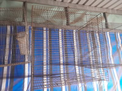 Chuồng bôi gà chó mèo thanh lý nghỉ chơi. Mua bán Phụ kiện, Thức ăn, Dịch vụ tại Quận Phú Nhuận Tp Hồ Chí Minh được đăng bởi Chicken lee