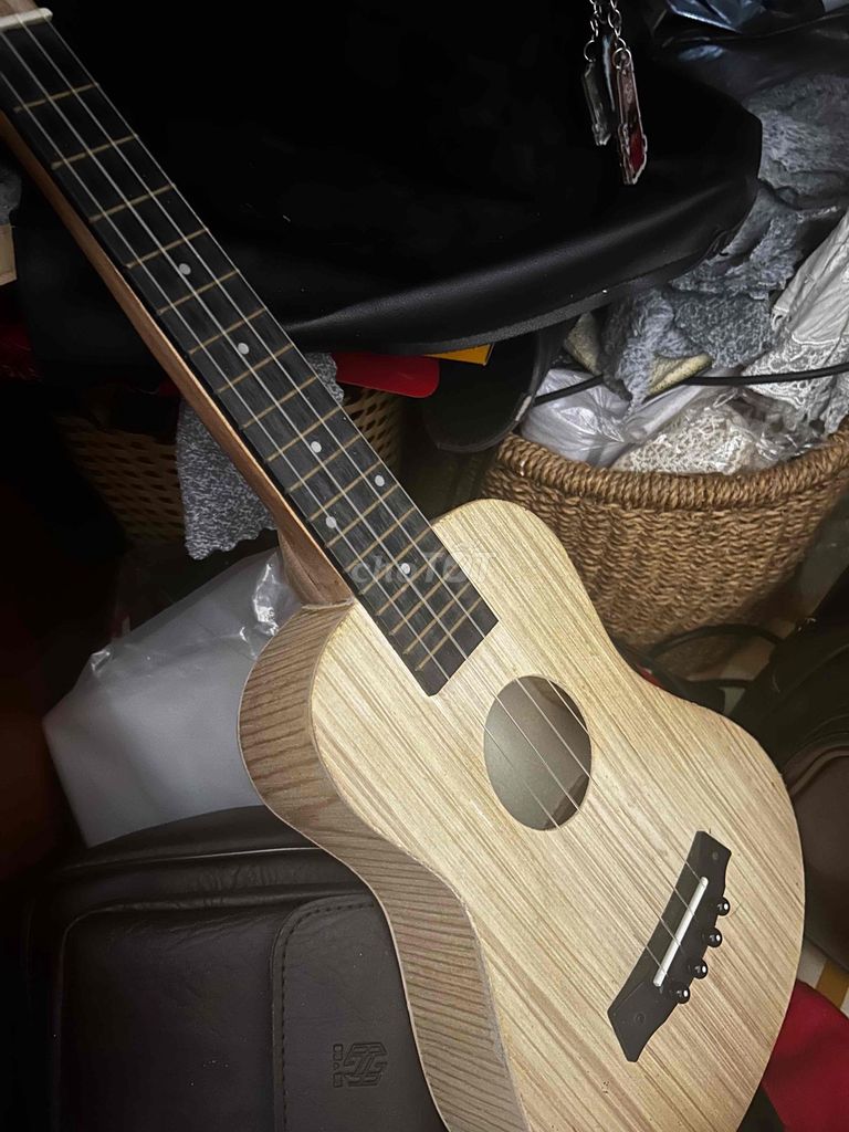 Đàn Ukulele Concert Gỗ Vàng nhạt 23 inch (còn new). Mua bán Nhạc cụ tại Quận Phú Nhuận Tp Hồ Chí Minh được đăng bởi Phong hình 1
