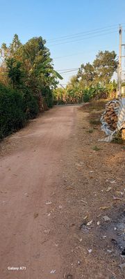 Bán đất tại sông trầu. Mua bán đất tại Huyện Trảng Bom Đồng Nai được đăng bởi Nguyễn Trần Hữu Thiện