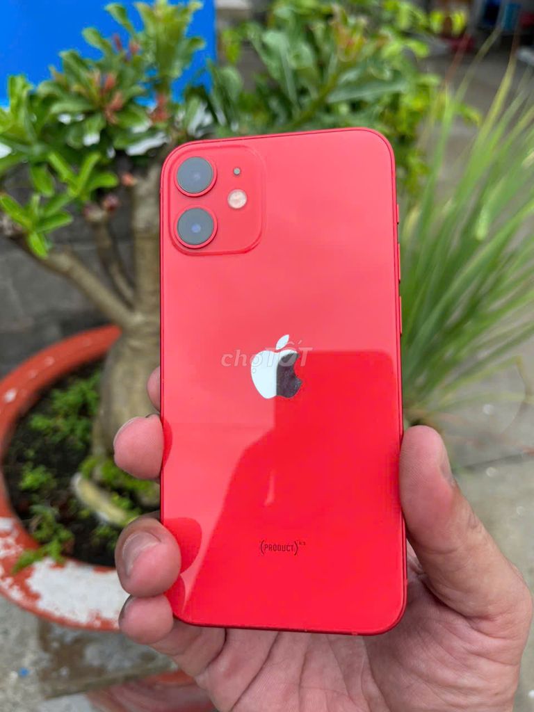 Apple iPhone 12 mini 128GB Đỏ Đã sử dụng. Mua bán Điện thoại tại Thành phố Thủ Đức Tp Hồ Chí Minh được đăng bởi TN 501 hình 1