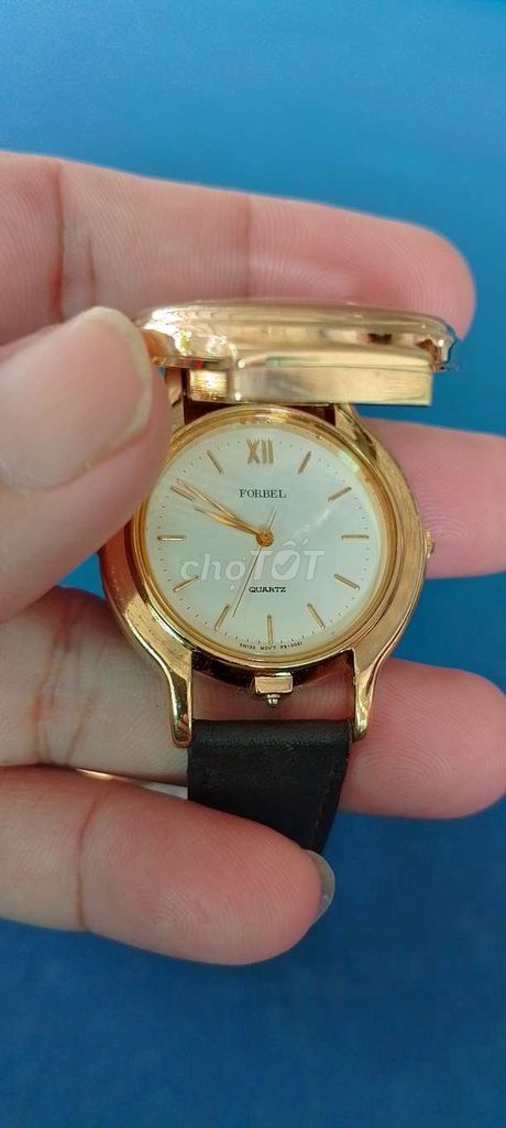 Đồng hồ Forbel nữ vỏ mạ vàng. Mua bán Đồng hồ tại Huyện Hòa Thành Tây Ninh được đăng bởi Long Thien Long hình 1