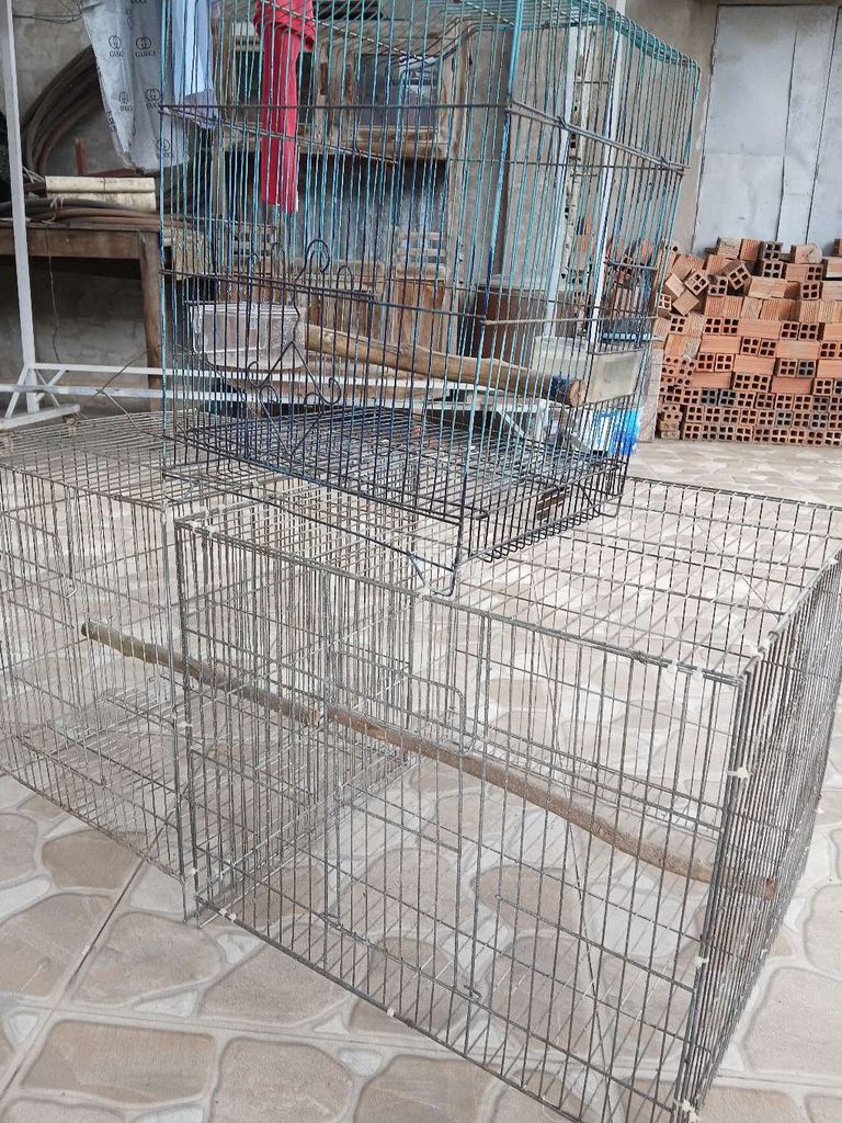 thanh lý lồng chim. Mua bán Phụ kiện, Thức ăn, Dịch vụ tại Huyện Củ Chi Tp Hồ Chí Minh được đăng bởi Phùng TÂN hình 1