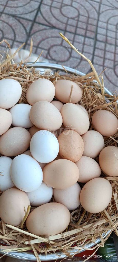 trứng gà so. Mua bán Đồ ăn, thực phẩm và các loại khác tại Huyện Bình Chánh Tp Hồ Chí Minh được đăng bởi Lê Như  hình 1