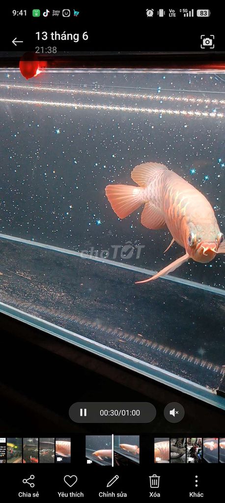 Cần chuyển nhượng em huyết đuôi càng.