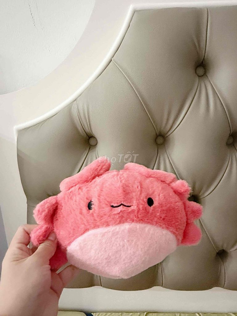 Gấu bông Hồng