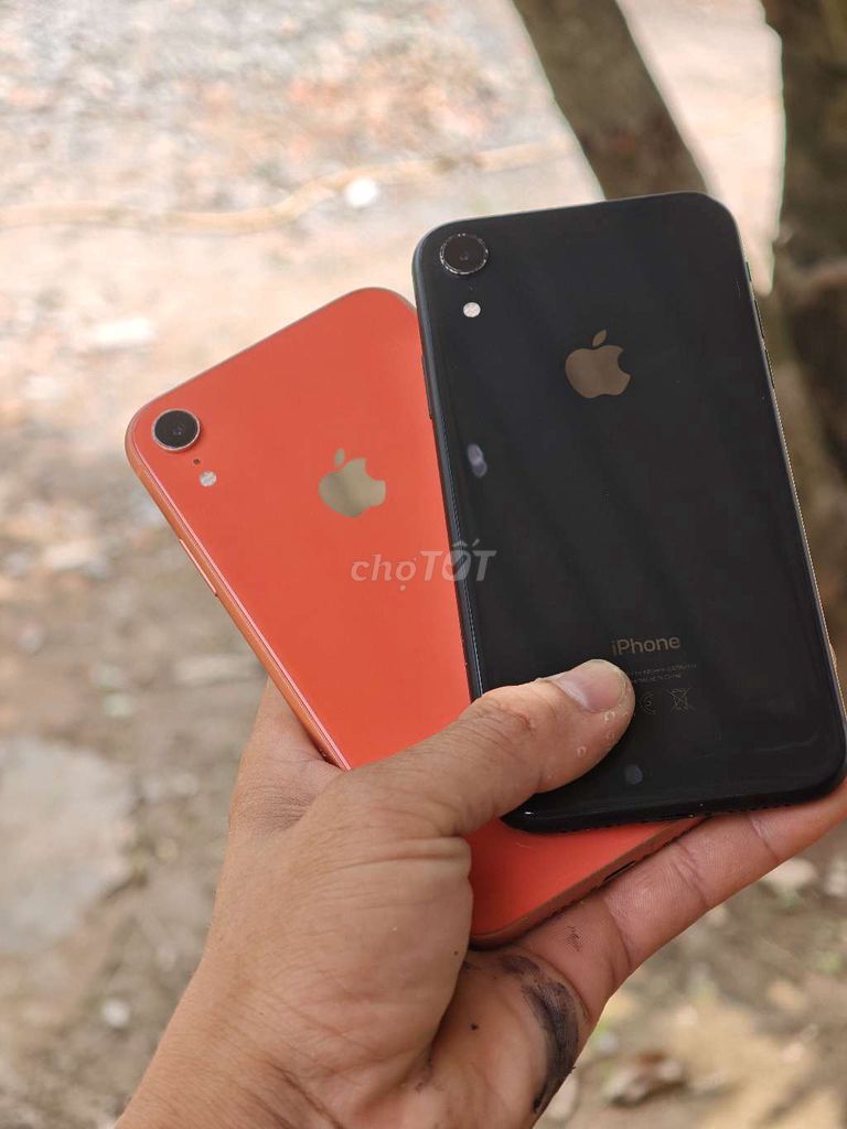 Apple iPhone XR 64G 98-99% nguyen zin. Mua bán Điện thoại tại Huyện Cao Lãnh Đồng Tháp được đăng bởi minh dt zin 66 hình 1