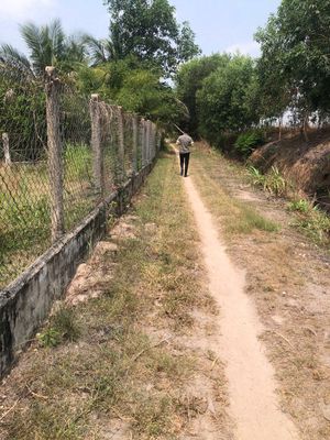 ĐẤT THỔ CƯ 400m² TÂN HỘI, TÂN CHÂU – DIỆN TÍCH 986,4m² (NGANG 23,96M). Mua bán đất tại Huyện Tân Châu Tây Ninh được đăng bởi Đỗ Hoàn