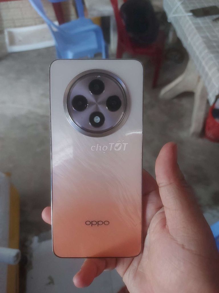 Oppo Reno12 F 5G 256GB Cam Đã sử dụng. Mua bán Điện thoại tại Quận Ninh Kiều Cần Thơ được đăng bởi Pho The hình 1