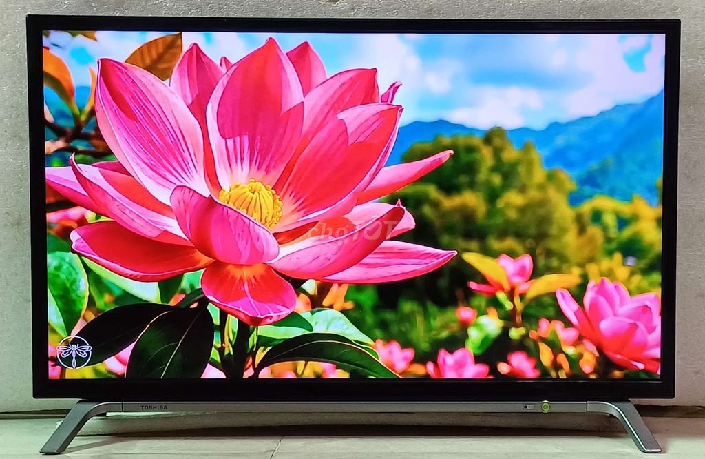 Tivi wifi 32 inch Toshiba sáng đẹp loa hay. Mua bán Tivi, Âm thanh tại Quận Ninh Kiều Cần Thơ được đăng bởi Luật Nguyễn hình 1