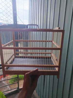 Giao lưu lồng sc. Mua bán Phụ kiện, Thức ăn, Dịch vụ tại Quận 12 Tp Hồ Chí Minh được đăng bởi chao mao