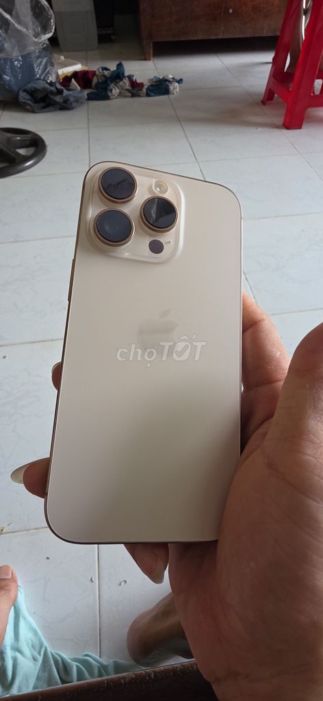 iPhone 16pro gold . Mua bán Điện thoại tại Huyện Tịnh Biên An Giang được đăng bởi Đuc hình 1