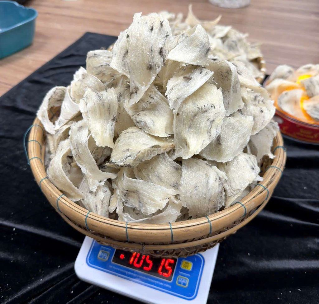 Tổ yến 1050 gram Già ít lông. Mua bán Đồ ăn, thực phẩm và các loại khác tại Quận Gò Vấp Tp Hồ Chí Minh được đăng bởi BÙI THỊ YẾN OANH  hình 1
