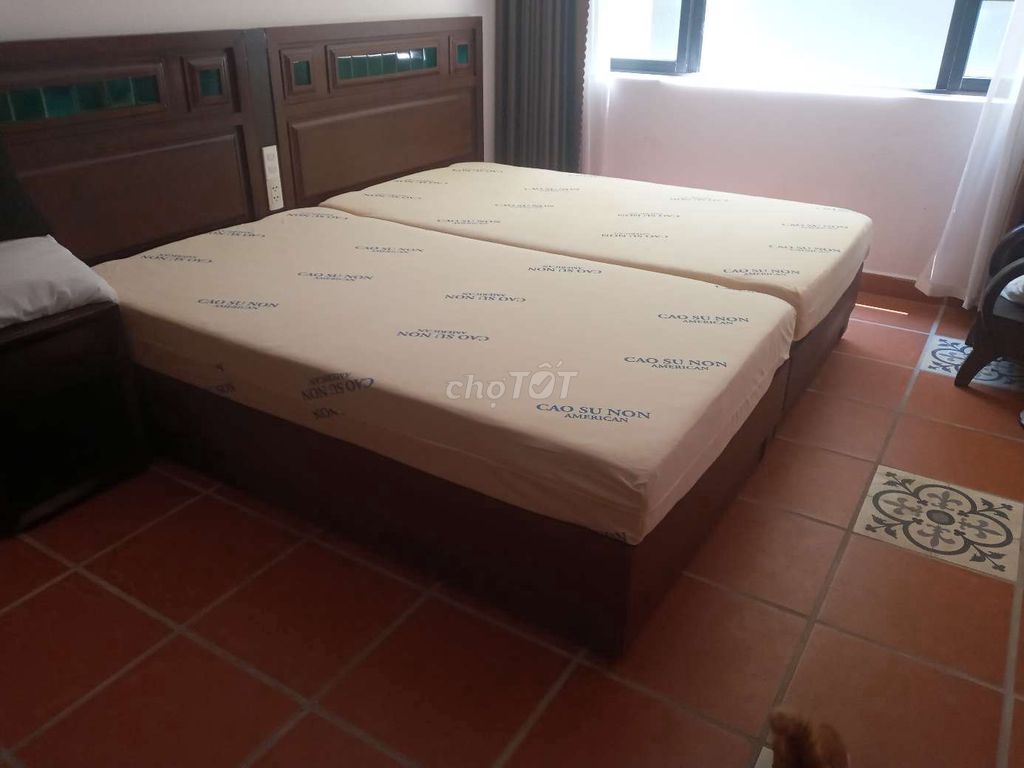 Giường và nệm American cao su non 1m2. Mua bán Giường, chăn ga gối nệm tại Thành phố Hội An Quảng Nam được đăng bởi Nguyễn Hoàng Nam hình 1