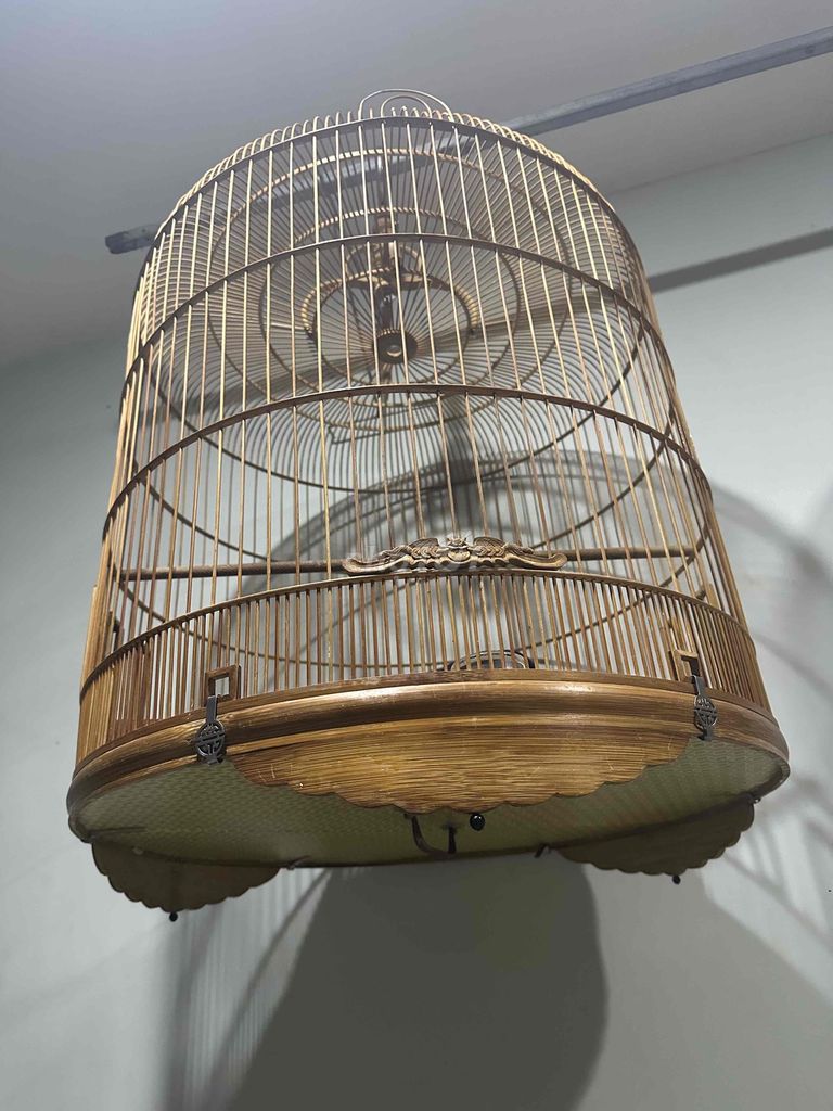 bh90. Mua bán Chim tại Quận Gò Vấp Tp Hồ Chí Minh được đăng bởi Đam Mê hình 1