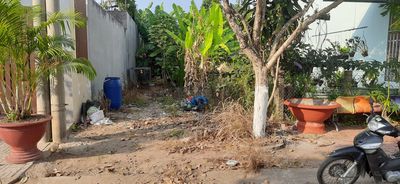 Bán lô đất tại khóm 3 thị trấn Tam Bìnhă