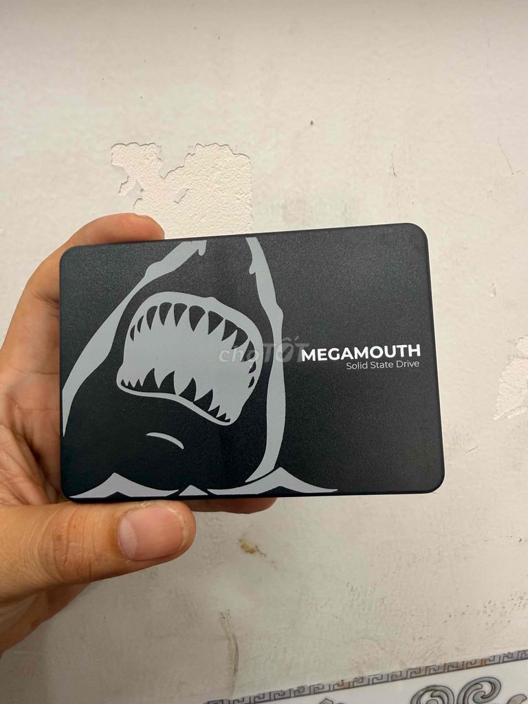SSD SSTC MEGAMOUTH 256GB. Mua bán Linh kiện (RAM, Card...) tại Thành phố Phan Thiết Bình Thuận được đăng bởi Minh Phát hình 1