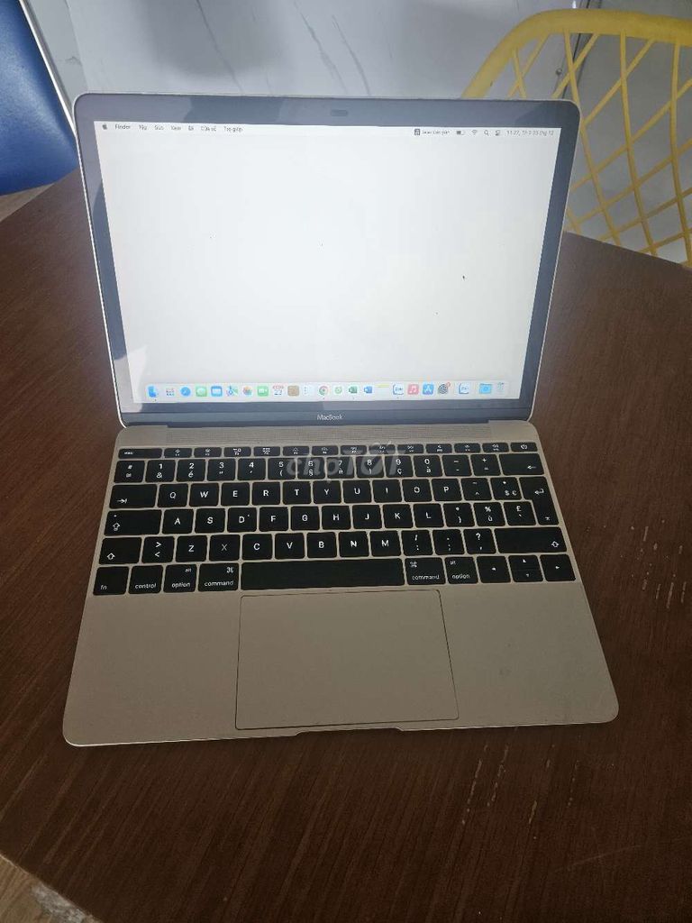 MacBook retina 2016 gold 12" core m3/8g/256G zin