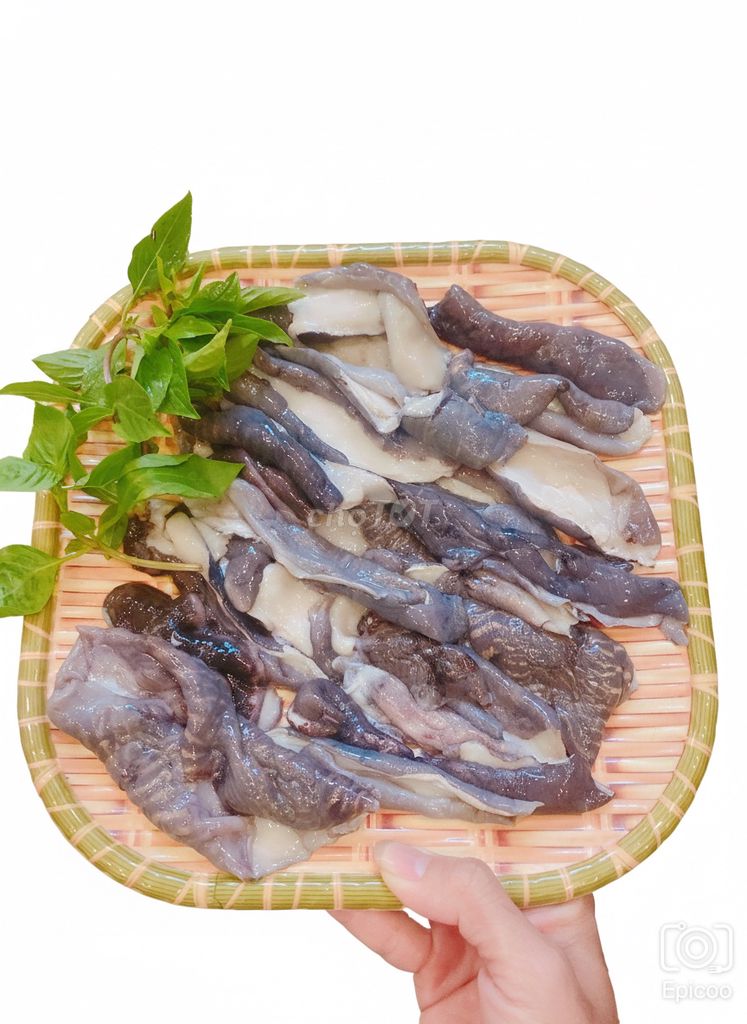 Nấm biển diềm mực. Mua bán Đồ ăn, thực phẩm và các loại khác tại Quận Liên Chiểu Đà Nẵng được đăng bởi Hải Sản Đà Thành hình 1