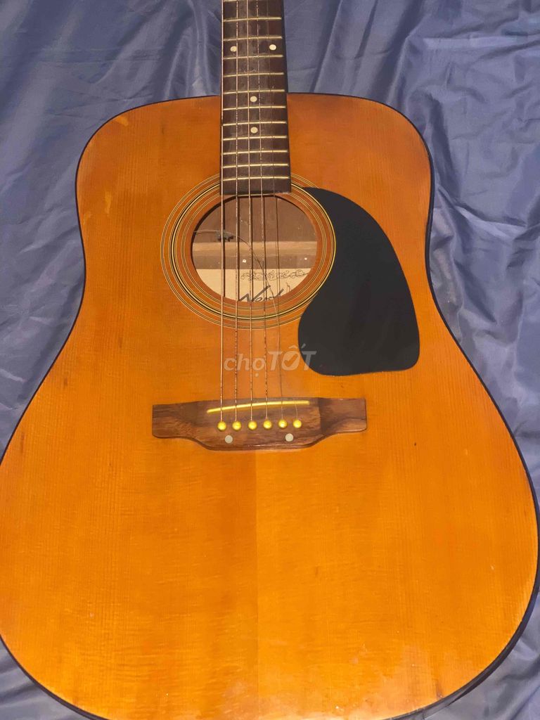 Đàn guitar Neptune hàng nhật bản. Mua bán Nhạc cụ tại Huyện Bình Chánh Tp Hồ Chí Minh được đăng bởi Khang Vĩnh Hy hình 1