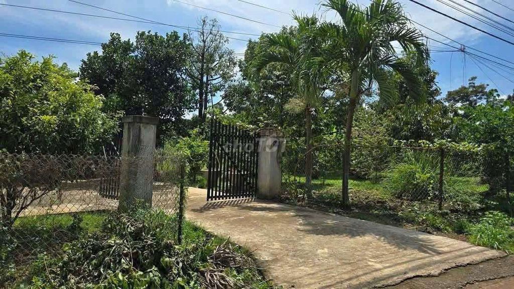 KO CÓ NGƯỜI CHĂM SÓC, CẦN BÁN GẤP NHÀ VƯỜN