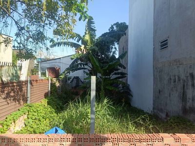 Đất trồng cây hàng năm 5x12 sẹc ngắn Phạm Thị Giây. Mua bán đất tại Huyện Hóc Môn Tp Hồ Chí Minh được đăng bởi Phạm Mạnh