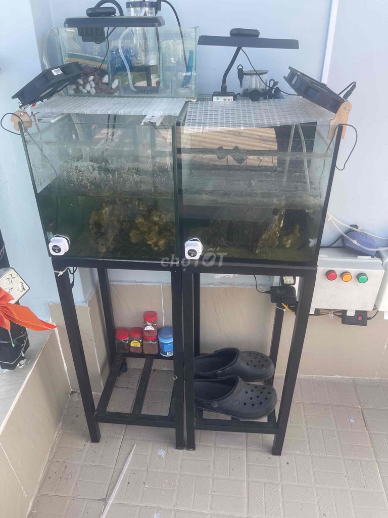 Hồ cá cảnh Kính 30x30x30cm. Mua bán Phụ kiện, Thức ăn, Dịch vụ tại Huyện Cần Giuộc Long An được đăng bởi lovera hình 1