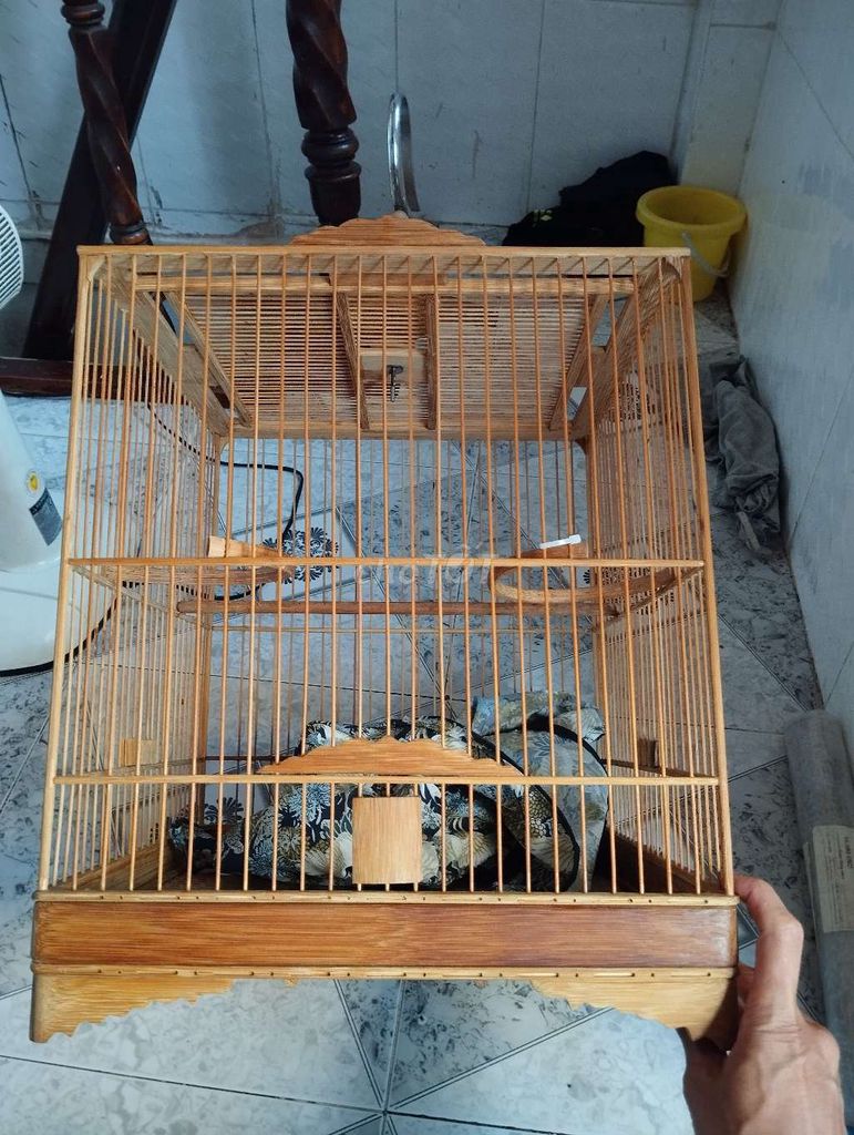 Lồng chim tre Nâu còn tốt. Mua bán Phụ kiện, Thức ăn, Dịch vụ tại Quận 4 Tp Hồ Chí Minh được đăng bởi Nguyen Tung hình 1