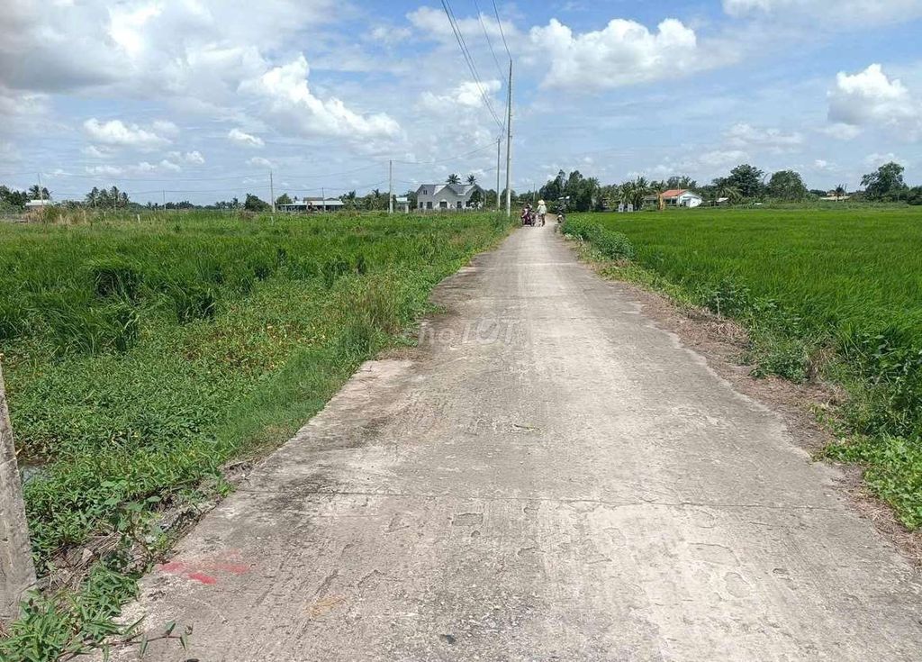 Sở hữu 1960m2 có 200m2 thổ cư CHỈ 1.8 TỶ. Mua bán đất tại Huyện Tân Trụ Long An được đăng bởi nguyễn anh tuấn hình 1