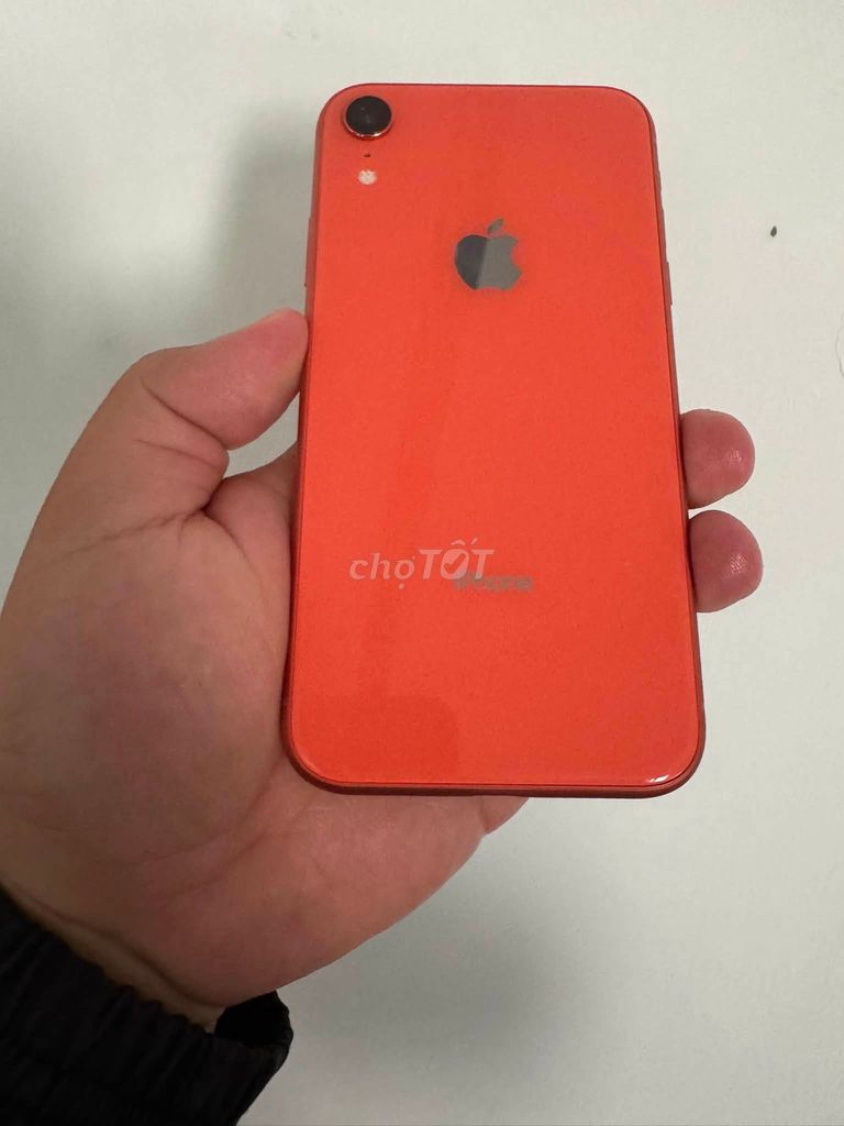 Apple iPhone XR 64GB Đỏ 100% pin. Mua bán Điện thoại tại Thành phố Thủ Đức Tp Hồ Chí Minh được đăng bởi Hội Đồ Điện Tử hình 1