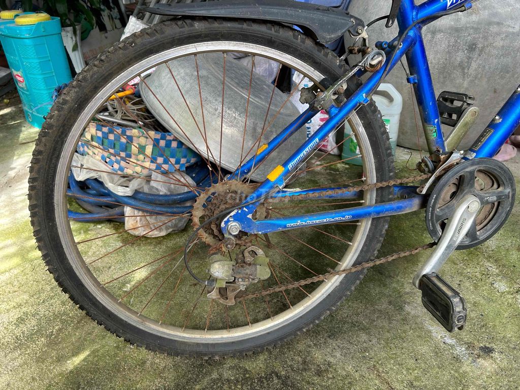 xe đạp. Mua bán Xe đạp tại Huyện Tri Tôn An Giang được đăng bởi Phan thành tâm  hình 2