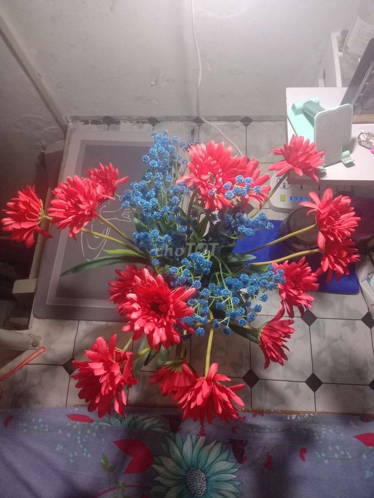 Bình hoa trang trí Thủy tinh,Hoa Nhựa . Mua bán Cây cảnh, đồ trang trí tại Quận Tân Phú Tp Hồ Chí Minh được đăng bởi Soái  hình 1