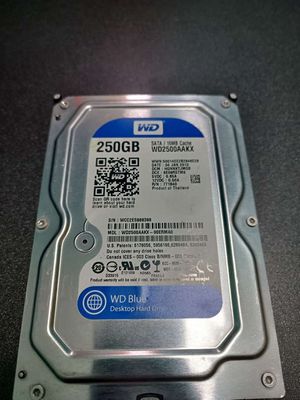 Ổ cứng 250GB