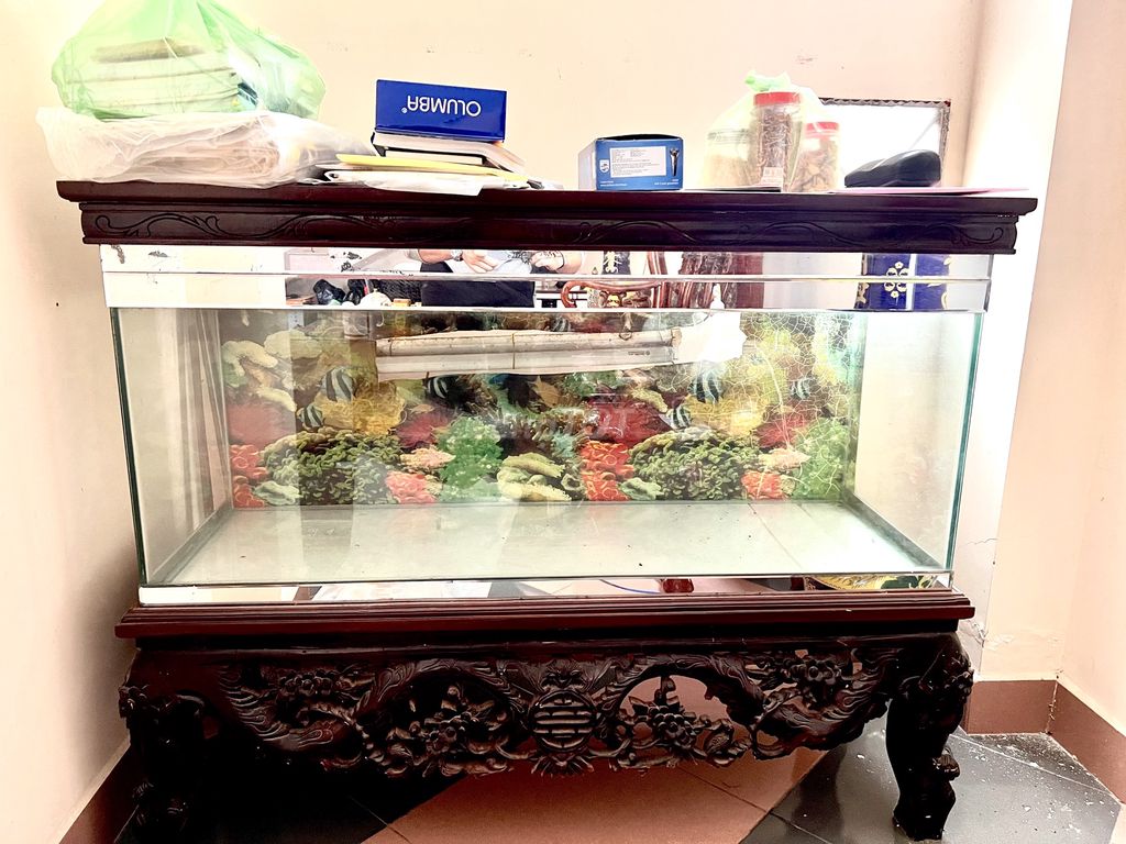 Hồ cá cảnh Kính Gỗ Nâu. Mua bán Phụ kiện, Thức ăn, Dịch vụ tại Thành phố Đà Lạt Lâm Đồng được đăng bởi Tên chưa cung cấp hình 1