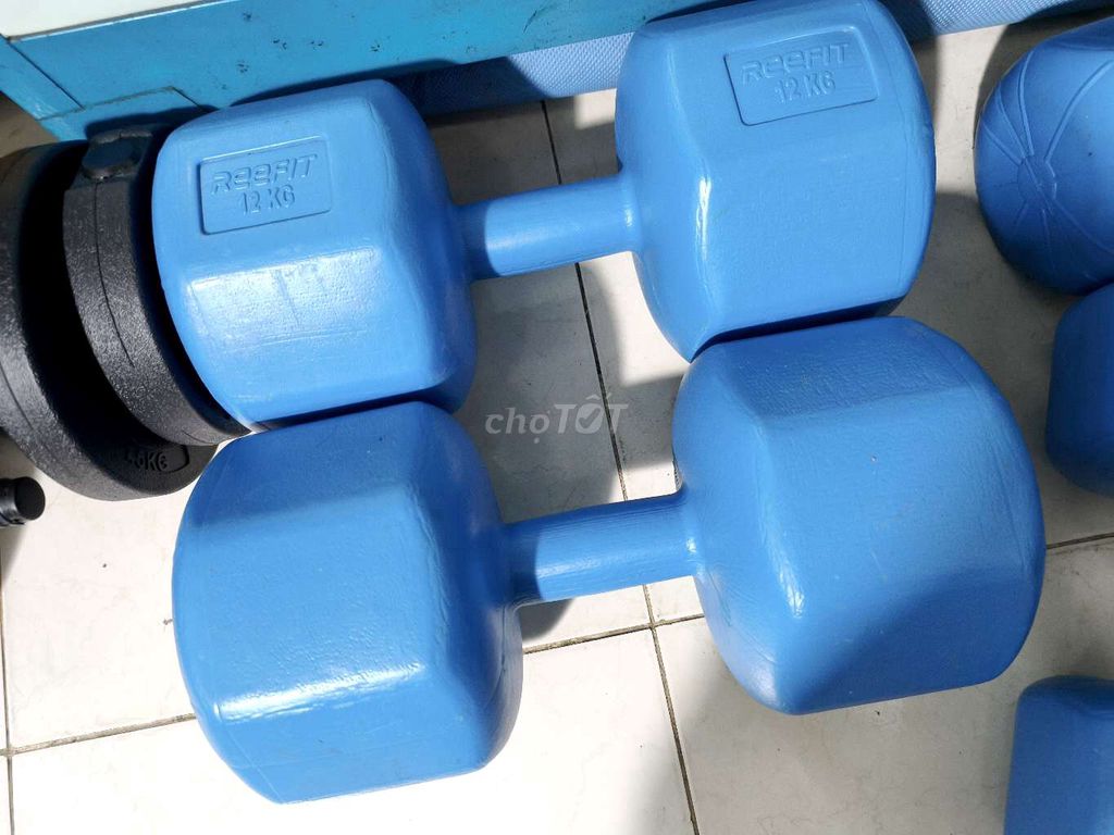 bộ Tạ tay 12kg 2 cục Xanh dương. Mua bán Đồ thể thao, Dã ngoại tại Quận Bình Thạnh Tp Hồ Chí Minh được đăng bởi Sưu tầm xưa  hình 1