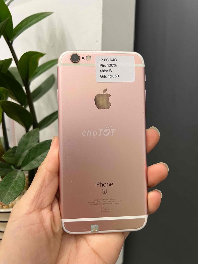 iphone 6S 64G Quốc tế Hồng P100 Zin đẹp 98