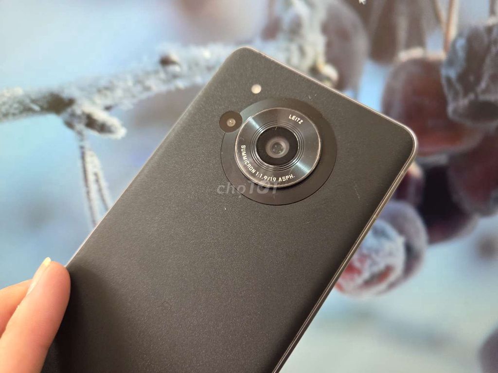 Sharp Aquos R7 5G Đen Ram 12/256 GB. Mua bán Điện thoại tại Quận 5 Tp Hồ Chí Minh được đăng bởi Androidgiare hình 1