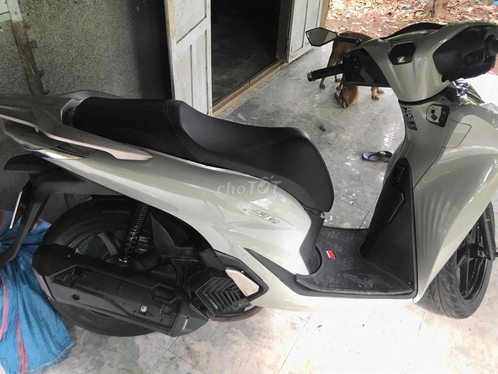 Shark Up SH - chạy im như điện. Mua bán Xe máy tại Huyện Long Phú Sóc Trăng được đăng bởi Đạt Nguyễn  hình 3
