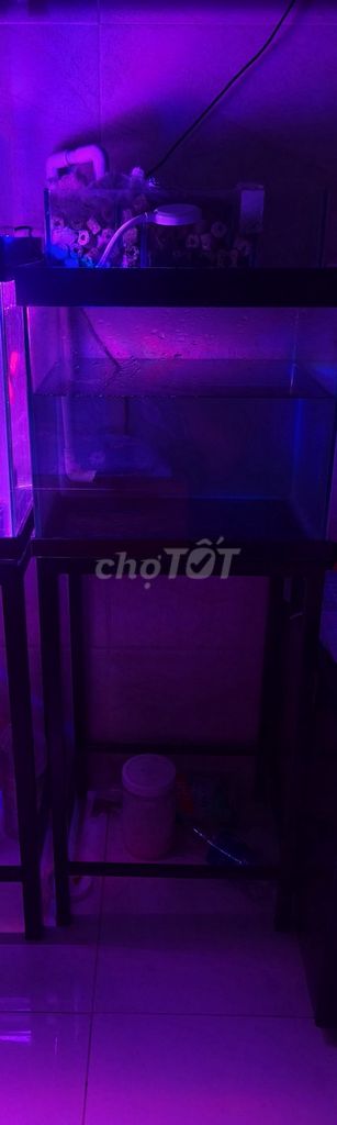 Hồ cá kính chân lọc tràn 30x35x32cm. Mua bán Phụ kiện, Thức ăn, Dịch vụ tại Quận Gò Vấp Tp Hồ Chí Minh được đăng bởi Bắc Nam Việt hình 1