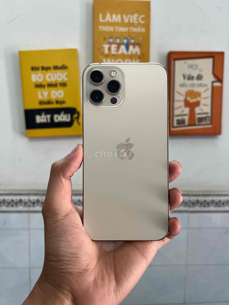 iPhone 12 Pro Max Quốc tế 128Gb