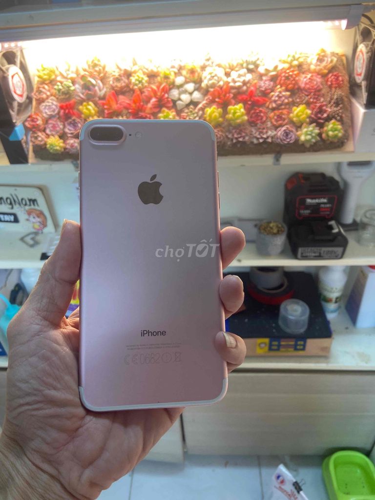 iPhone 7 Plus Vàng hồng quốc tế 128g. Mua bán Điện thoại tại Quận Ninh Kiều Cần Thơ được đăng bởi Nguyễn Thanh Quang hình 1