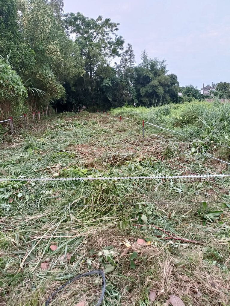 KẸT TIỀN BÁN GẤP NỀN KDC PHÚ ĐIỀN