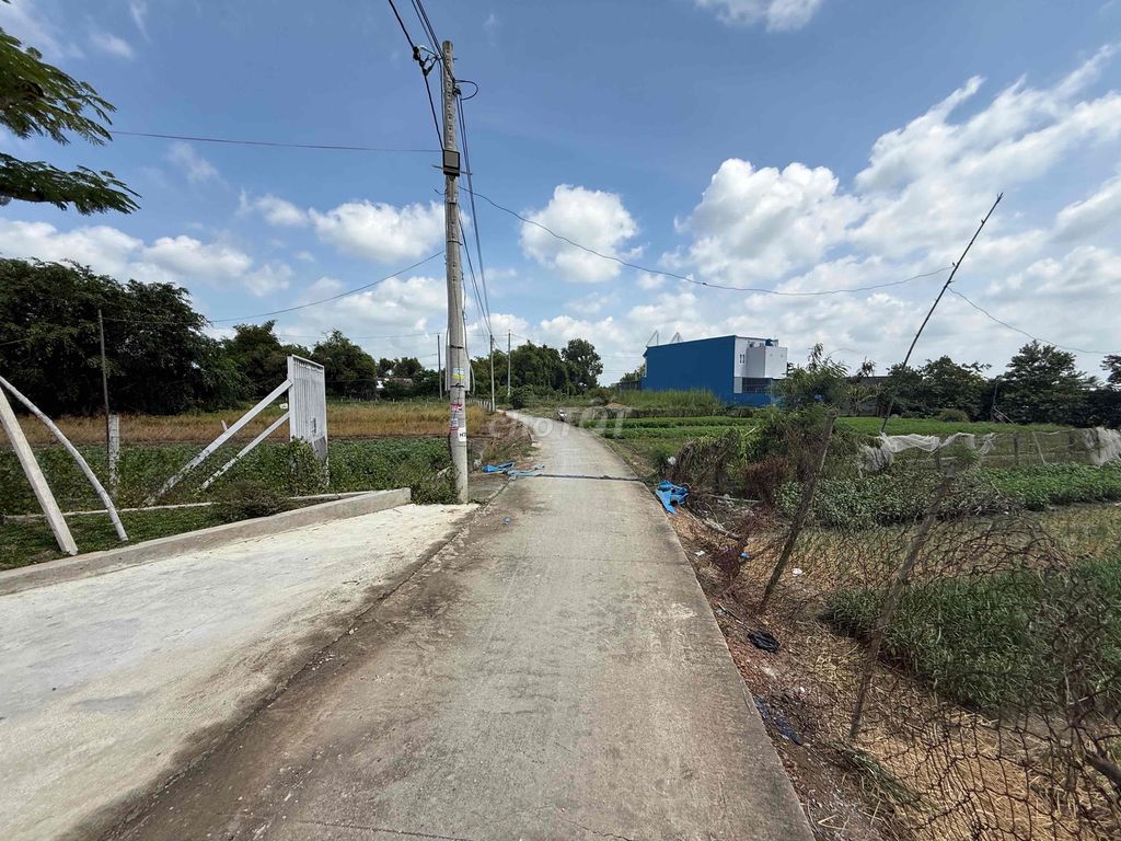 Cần Bán Nhà Vườn Long An 1000m2 có 285m2 thổ 10x100m Sổ riêng mới100%. Mua bán nhà ở tại Huyện Cần Giuộc Long An được đăng bởi TẤN LỘC  hình 2