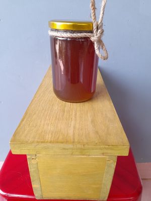 Mật ong dú thùng nuôi ong dú giống