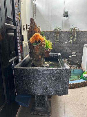 Hồ cá trang trí. Mua bán Cây cảnh, đồ trang trí tại Quận Gò Vấp Tp Hồ Chí Minh được đăng bởi Kuroo Nht