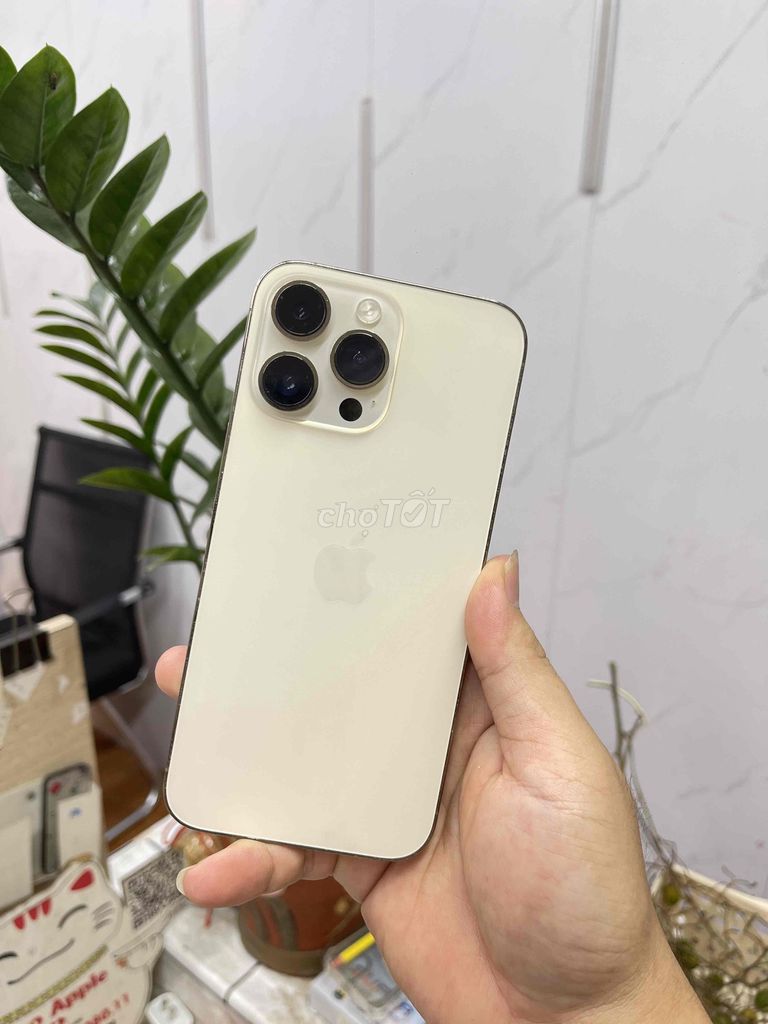 Apple iPhone 14 Pro Max 128GB Vàng Đã sử dụng. Mua bán Điện thoại tại Quận Đống Đa Hà Nội được đăng bởi  Tuấn Apple  hình 1