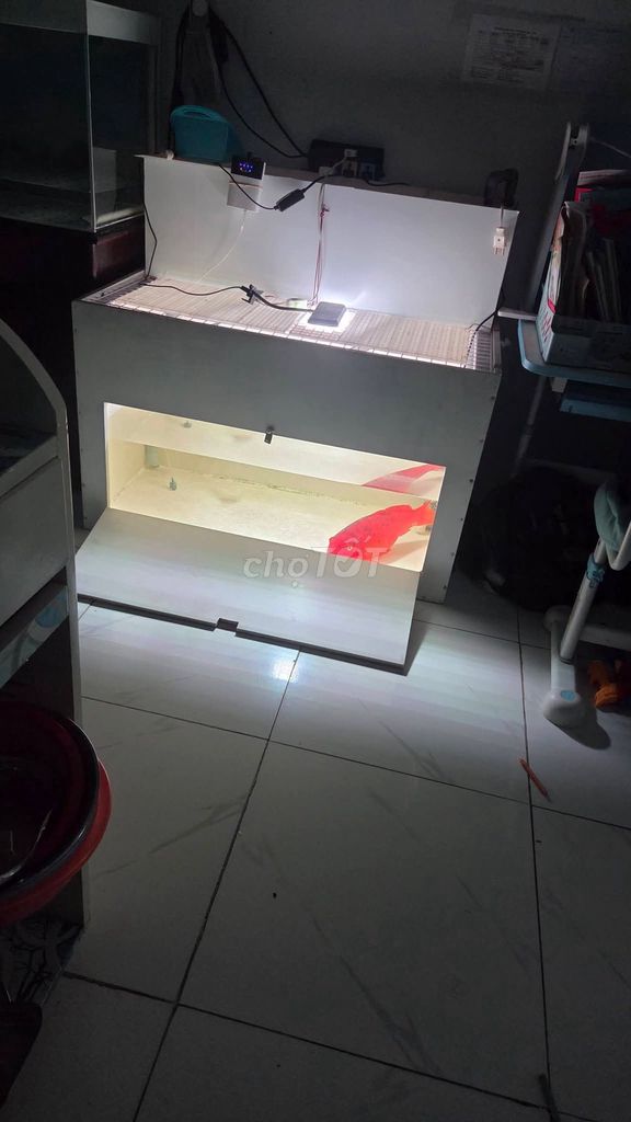 Thùng nuôi cá 100x60x60cm. Mua bán Phụ kiện, Thức ăn, Dịch vụ tại Thị xã Tân Uyên Bình Dương được đăng bởi Hung Xuan hình 1
