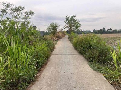 Plot of land 1000 m² · Phan Hoàng Thái