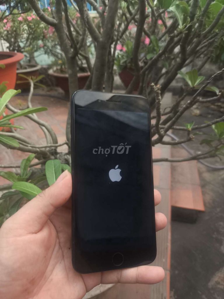 Apple iPhone 7 Plus 32GB Đen. Mua bán Điện thoại tại Thành phố Thuận An Bình Dương được đăng bởi Sang Trần hình 1