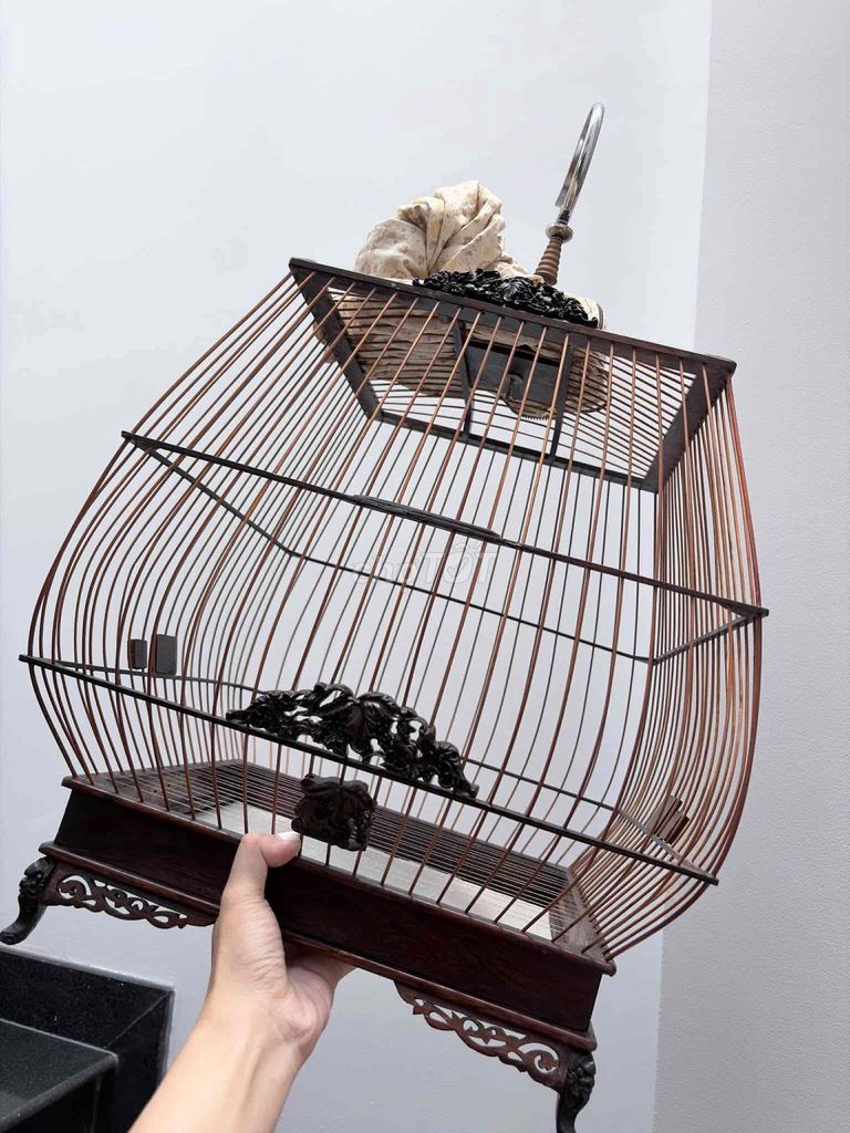 Lồng Chim Chào Mào. Mua bán Phụ kiện, Thức ăn, Dịch vụ tại Quận 5 Tp Hồ Chí Minh được đăng bởi Giàng A Tắc hình 1